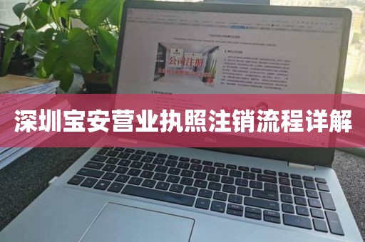 深圳宝安营业执照注销流程详解