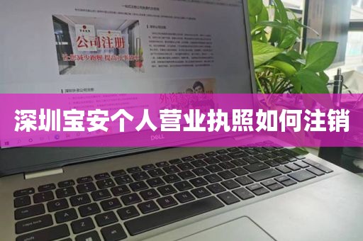 深圳宝安个人营业执照如何注销