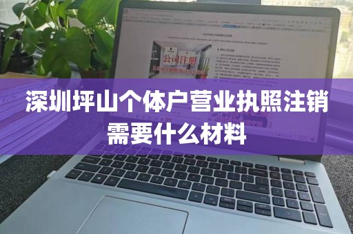 深圳坪山个体户营业执照注销需要什么材料