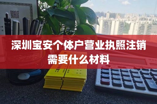 深圳宝安个体户营业执照注销需要什么材料
