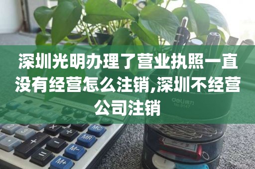 深圳光明办理了营业执照一直没有经营怎么注销,深圳不经营公司注销