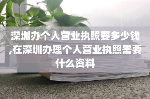 深圳办个人营业执照要多少钱,在深圳办理个人营业执照需要什么资料