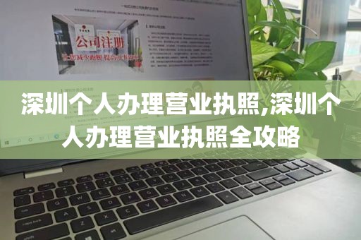 深圳个人办理营业执照,深圳个人办理营业执照全攻略