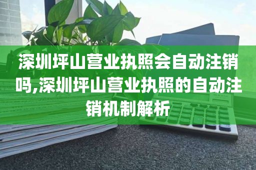 深圳坪山营业执照会自动注销吗,深圳坪山营业执照的自动注销机制解析