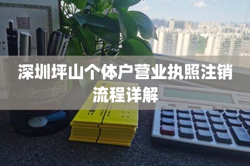 深圳坪山个体户营业执照注销流程详解