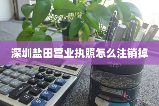 深圳盐田营业执照怎么注销掉