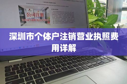 深圳市个体户注销营业执照费用详解