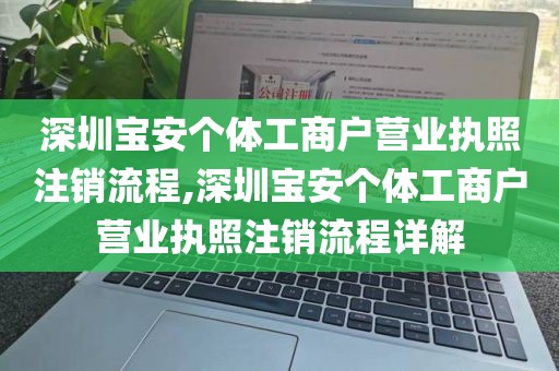 深圳宝安个体工商户营业执照注销流程,深圳宝安个体工商户营业执照注销流程详解