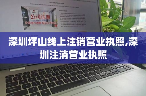 深圳坪山线上注销营业执照,深圳注消营业执照