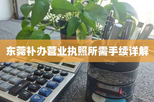 东莞补办营业执照所需手续详解