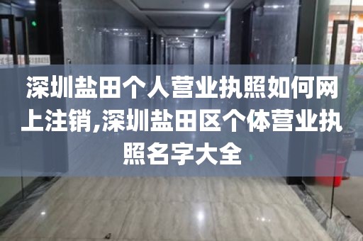 深圳盐田个人营业执照如何网上注销,深圳盐田区个体营业执照名字大全
