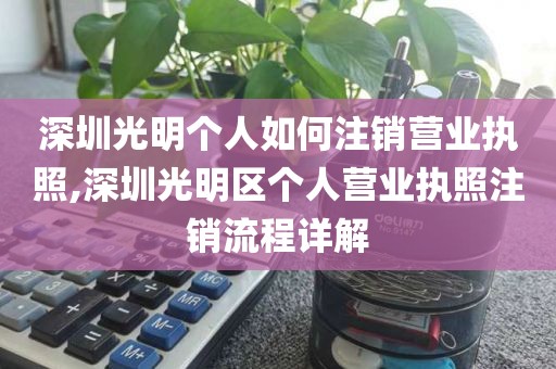 深圳光明个人如何注销营业执照,深圳光明区个人营业执照注销流程详解