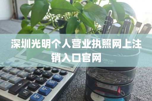 深圳光明个人营业执照网上注销入口官网