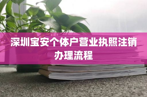 深圳宝安个体户营业执照注销办理流程
