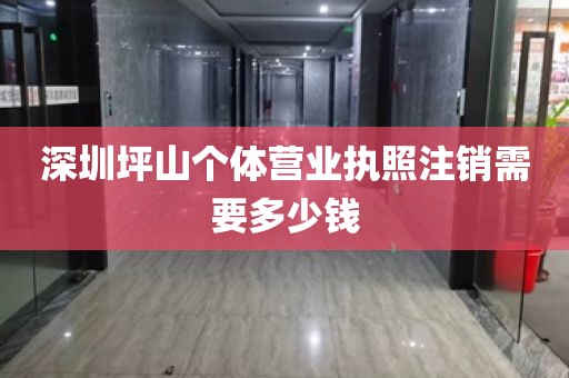 深圳坪山个体营业执照注销需要多少钱