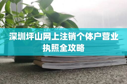 深圳坪山网上注销个体户营业执照全攻略