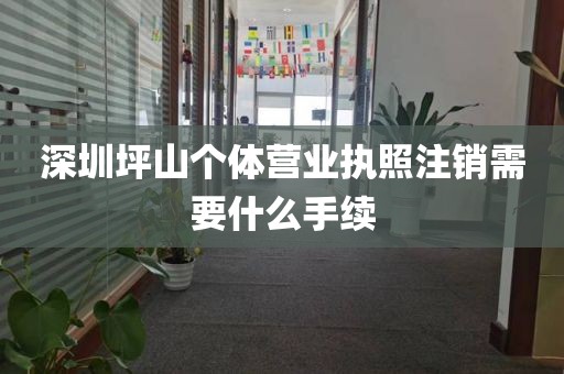 深圳坪山个体营业执照注销需要什么手续