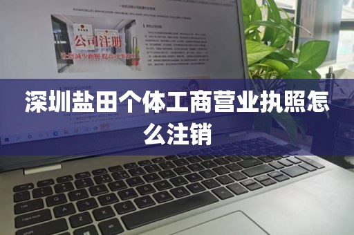 深圳盐田个体工商营业执照怎么注销