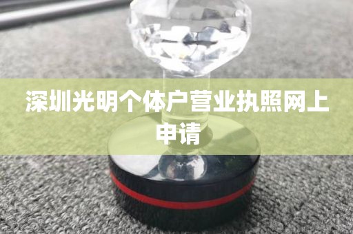 深圳光明个体户营业执照网上申请