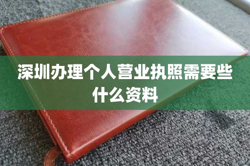 深圳办理个人营业执照需要些什么资料