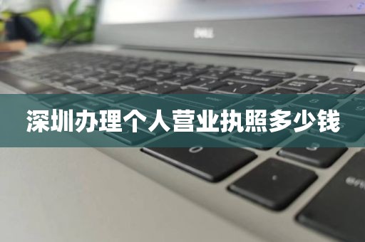 深圳办理个人营业执照多少钱