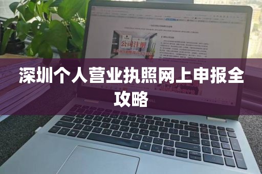 深圳个人营业执照网上申报全攻略