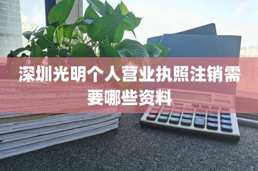 深圳光明个人营业执照注销需要哪些资料