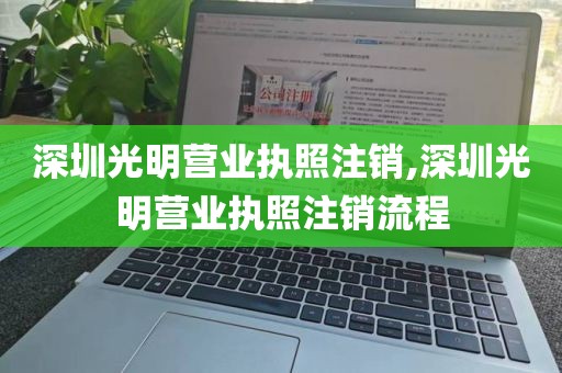深圳光明营业执照注销,深圳光明营业执照注销流程
