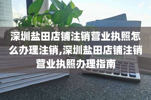 深圳盐田店铺注销营业执照怎么办理注销,深圳盐田店铺注销营业执照办理指南