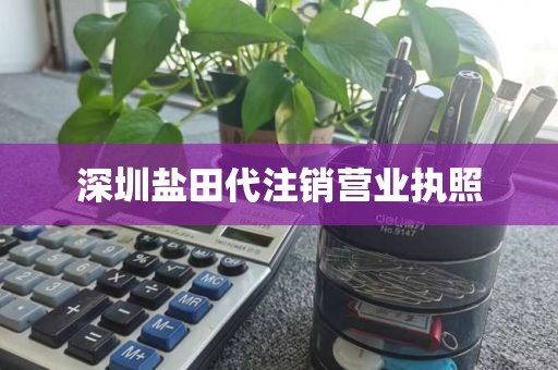深圳盐田代注销营业执照
