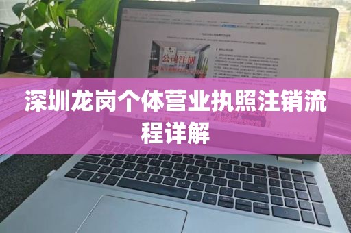 深圳龙岗个体营业执照注销流程详解