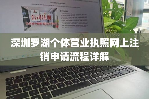 深圳罗湖个体营业执照网上注销申请流程详解
