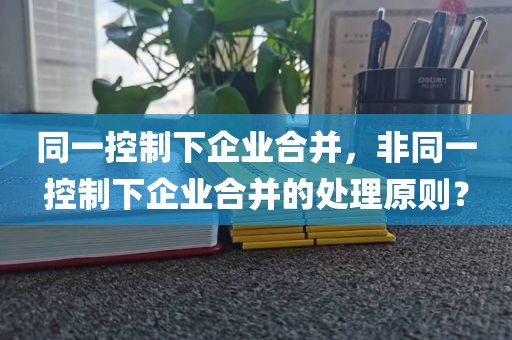 同一控制下企业合并，非同一控制下企业合并的处理原则？