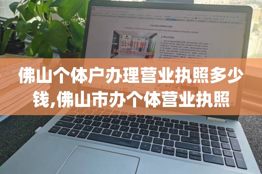 佛山个体户办理营业执照多少钱,佛山市办个体营业执照