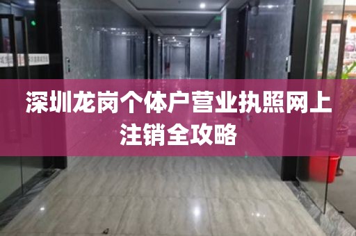 深圳龙岗个体户营业执照网上注销全攻略