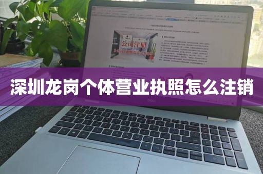 深圳龙岗个体营业执照怎么注销