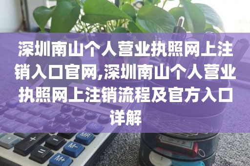 深圳南山个人营业执照网上注销入口官网,深圳南山个人营业执照网上注销流程及官方入口详解