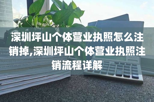 深圳坪山个体营业执照怎么注销掉,深圳坪山个体营业执照注销流程详解