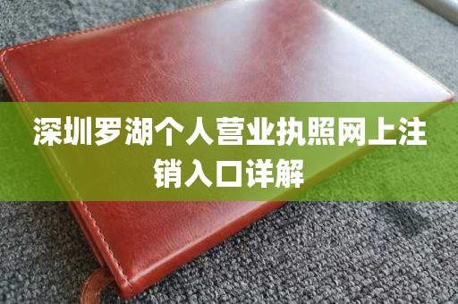 深圳罗湖个人营业执照网上注销入口详解