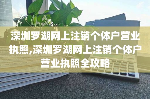深圳罗湖网上注销个体户营业执照,深圳罗湖网上注销个体户营业执照全攻略