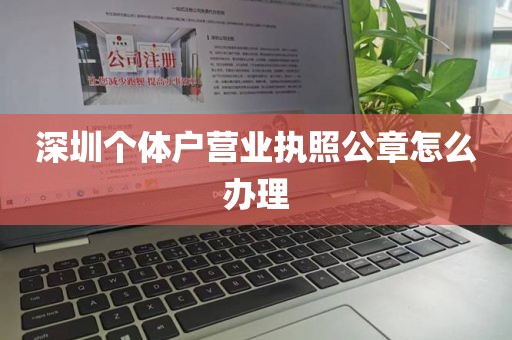 深圳个体户营业执照公章怎么办理