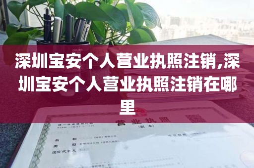 深圳宝安个人营业执照注销,深圳宝安个人营业执照注销在哪里