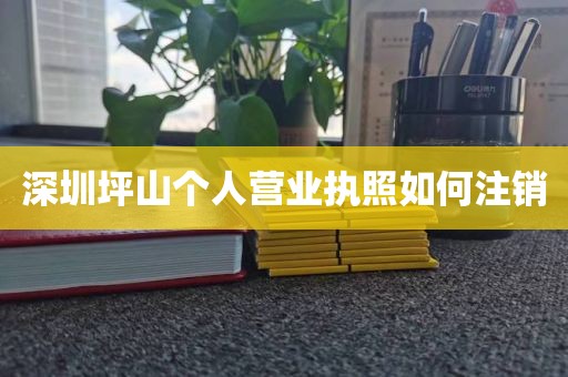 深圳坪山个人营业执照如何注销