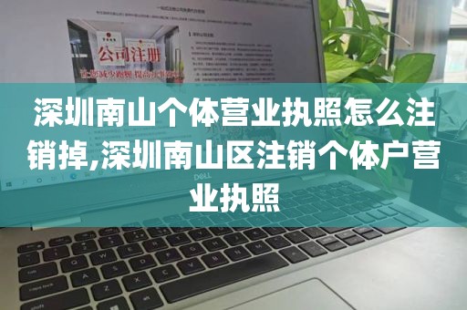 深圳南山个体营业执照怎么注销掉,深圳南山区注销个体户营业执照