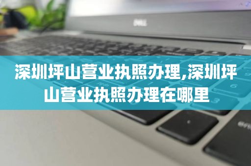 深圳坪山营业执照办理,深圳坪山营业执照办理在哪里
