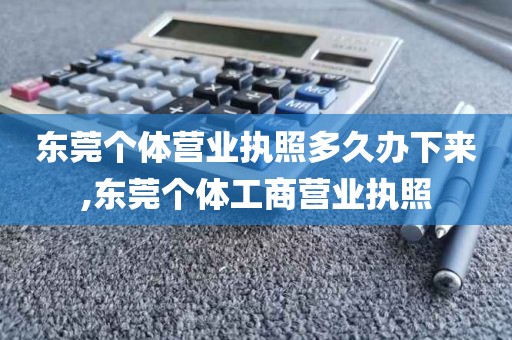 东莞个体营业执照多久办下来,东莞个体工商营业执照
