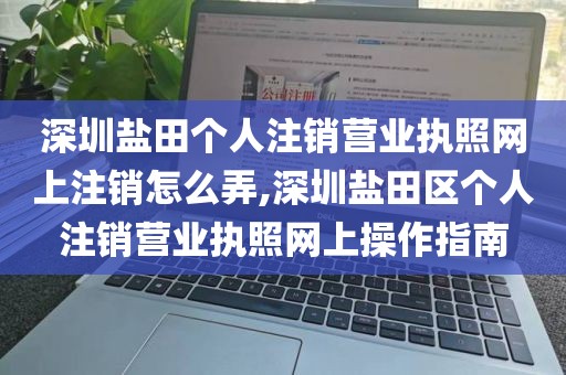 深圳盐田个人注销营业执照网上注销怎么弄,深圳盐田区个人注销营业执照网上操作指南