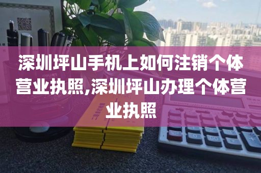 深圳坪山手机上如何注销个体营业执照,深圳坪山办理个体营业执照