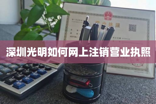 深圳光明如何网上注销营业执照