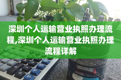 深圳个人运输营业执照办理流程,深圳个人运输营业执照办理流程详解